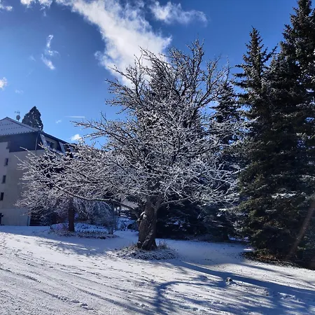 En Ubaye, Randonnees Et Nature